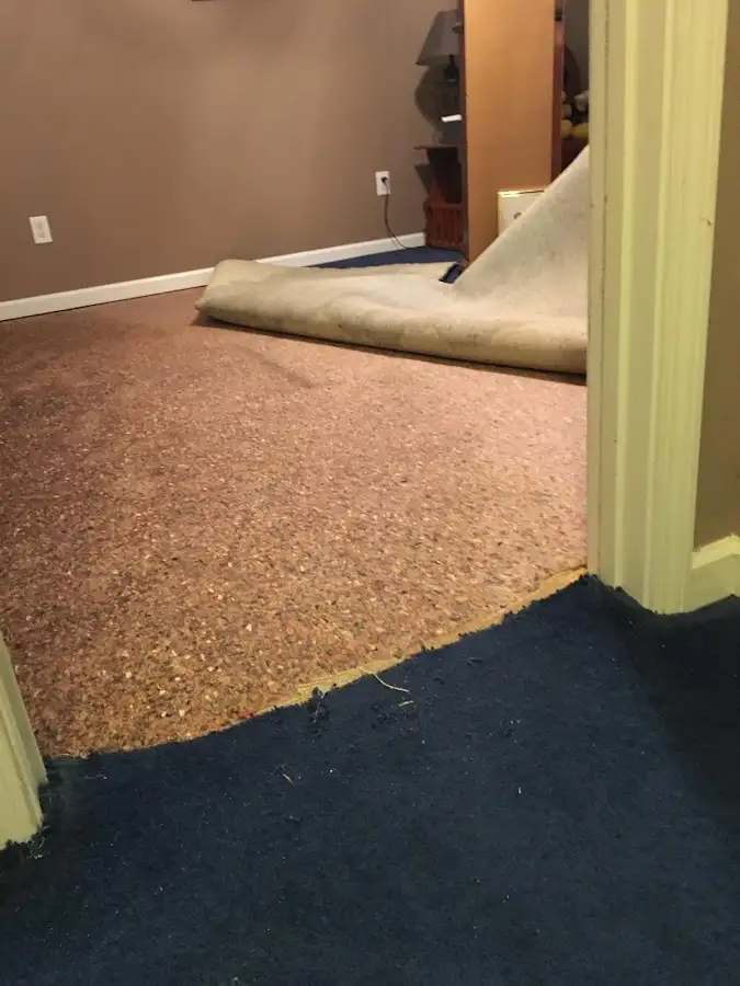 Carpet pad removal revealing water damage during Drying & Dehumidification in Niskayuna