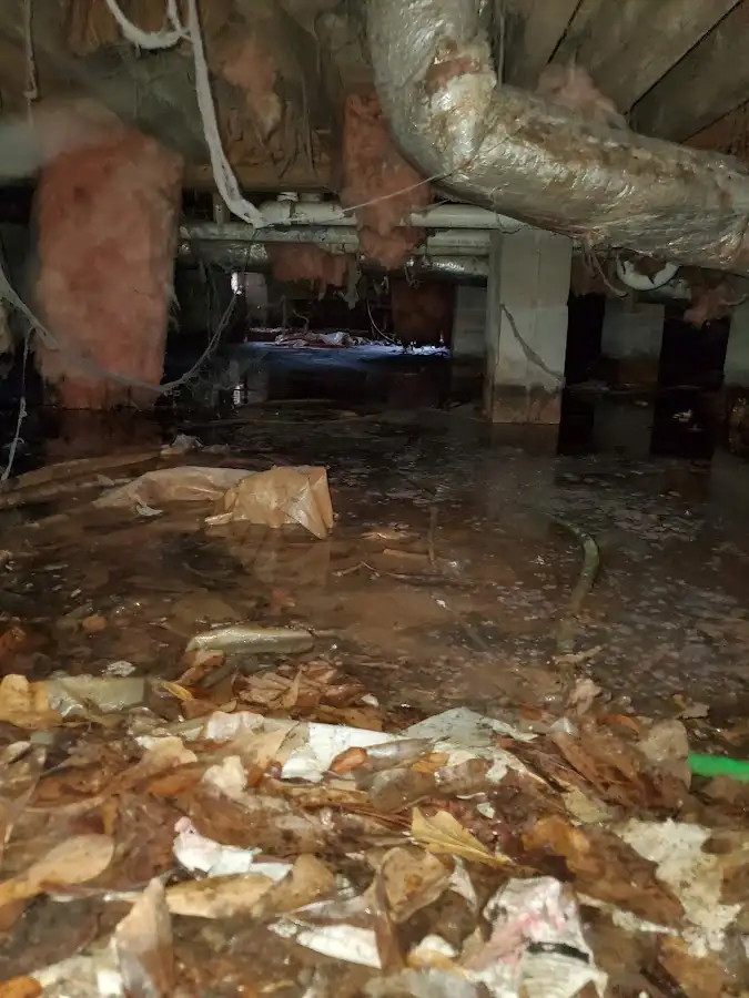 Crawl space flood assessment for Leak Detection & Repair in Niskayuna
